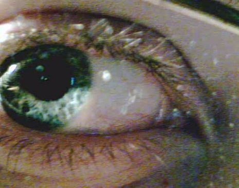 A close-up picture of a blue eye looking slightly to the left. 