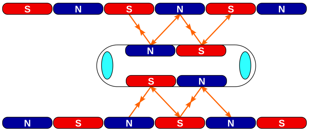 A coloured image of magnets. Two parallel lines made up of alternative red boxes with S and blue boxes with N. In the centre is a birds-eye view of a maglev carriage with four magnets in the centre. There are arrows showing how the magnets on the side push and pull the maglev. 