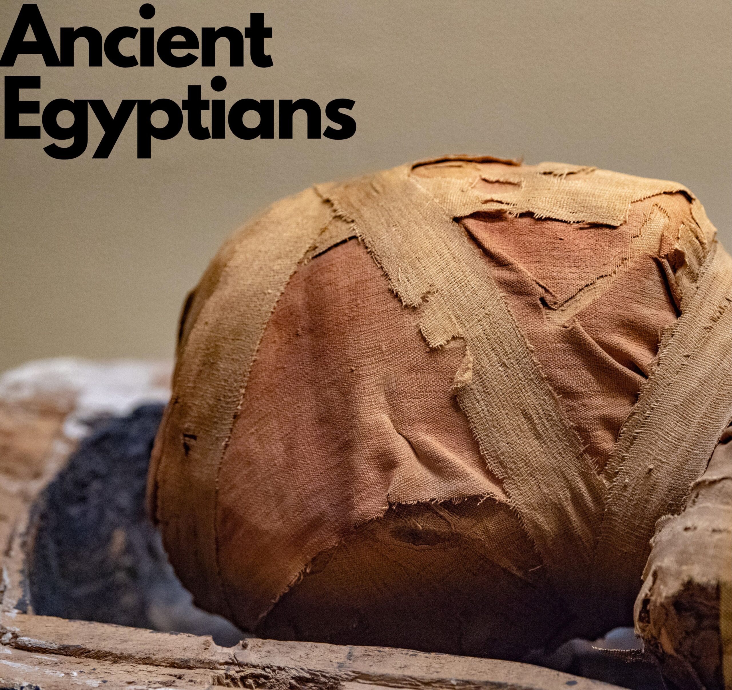 Ancient Egyptians: Unearthing Their Fascinating Civilisation
