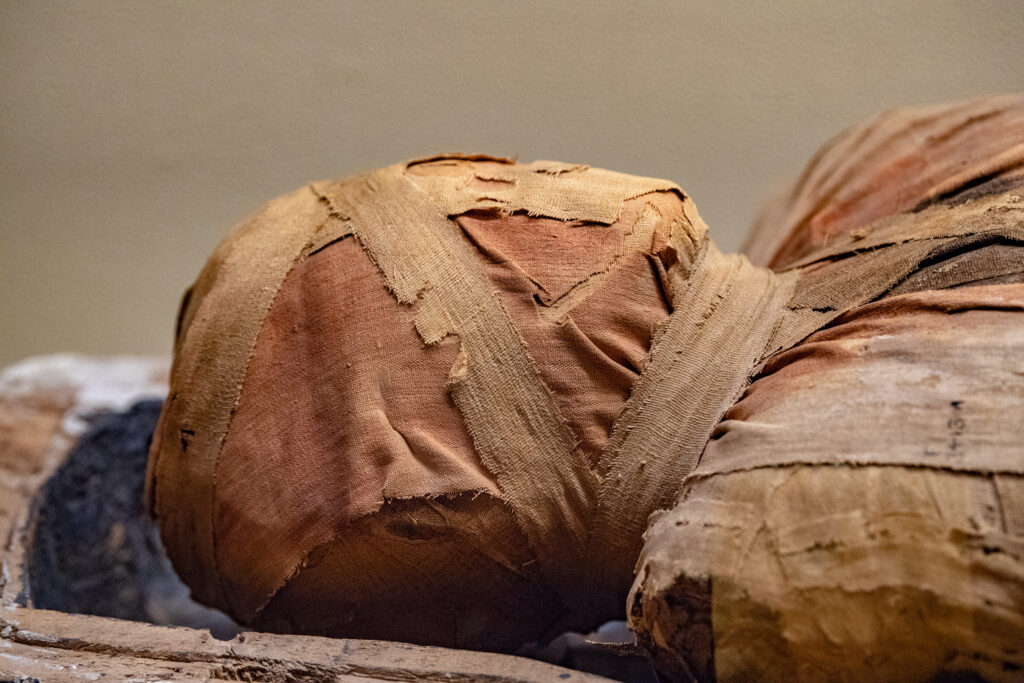 A close-up of an Ancient Egyptian mummy. The linen cloth is decoloured. The body sits in a stone tomb with no lid. 