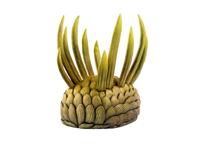 A Wiwaxia looks like a pinapple with a flat bottom. 